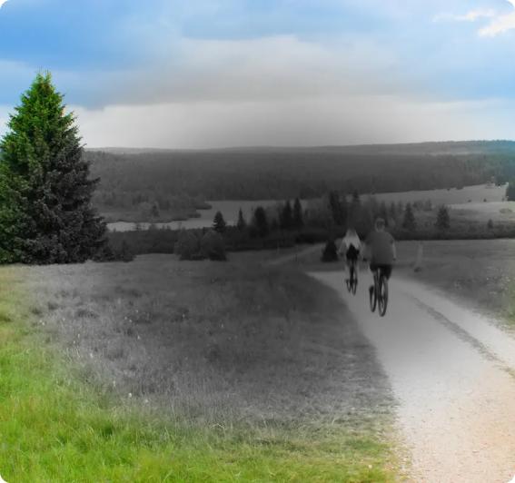 A landscape illustrating central vision loss caused by macular degeneration